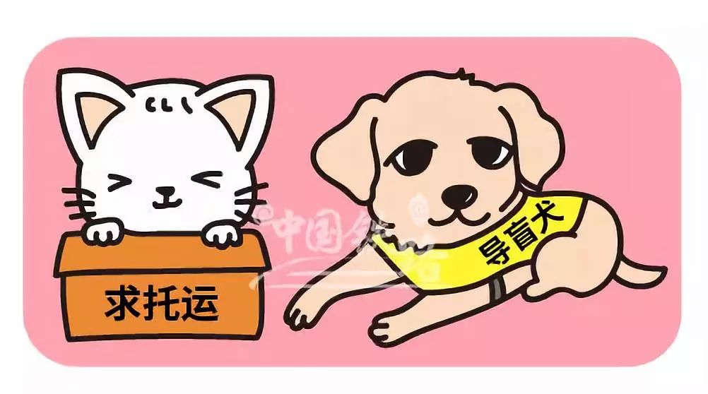 最新资讯 第44页